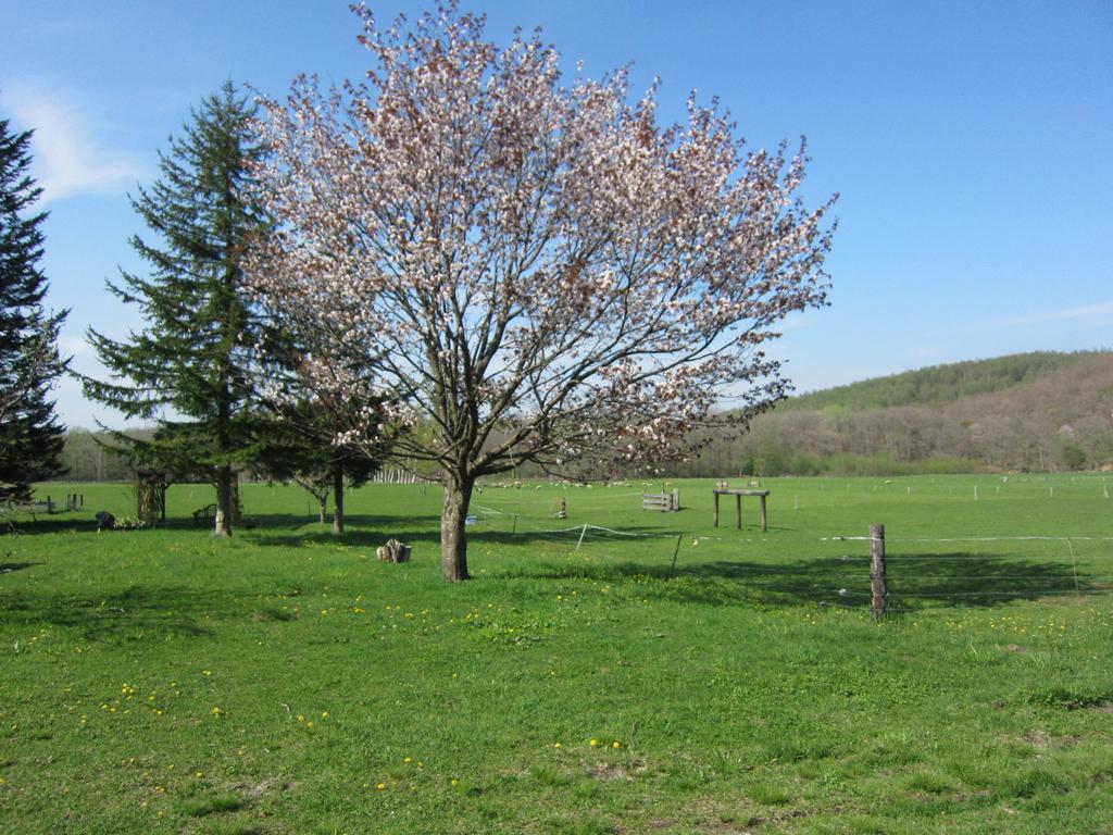 Yorkshire Farm Villa Shintoku Exterior foto